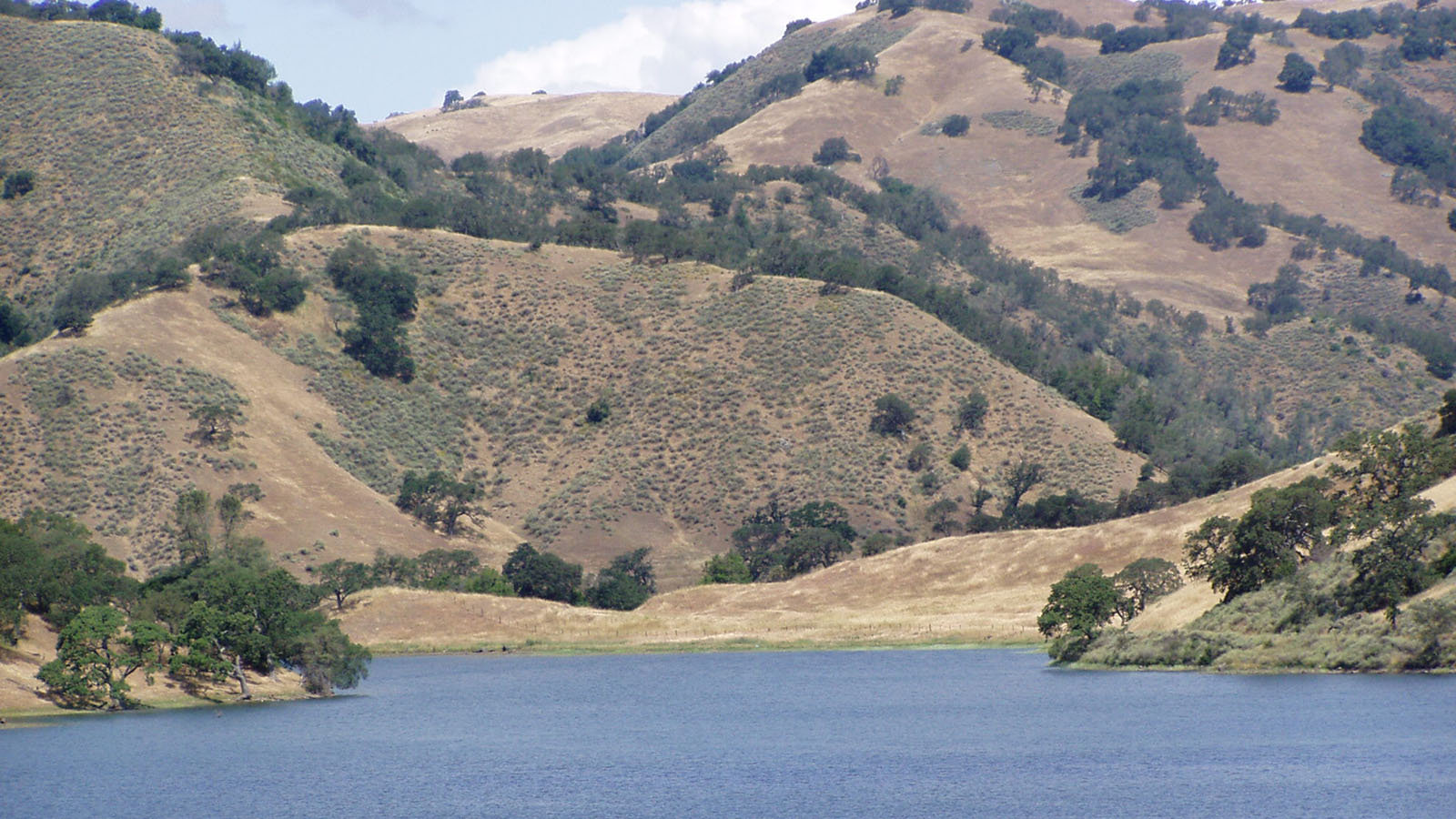 Clark Company Rancho El Toro